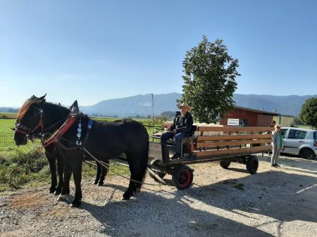 Kmetova miza lojtrnik